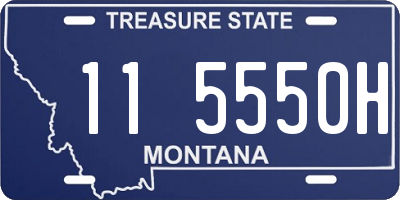 MT license plate 115550H