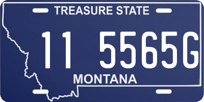 MT license plate 115565G