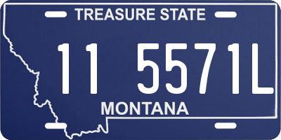 MT license plate 115571L