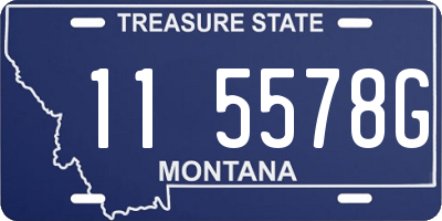 MT license plate 115578G