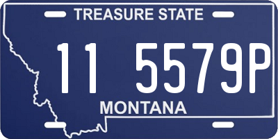 MT license plate 115579P