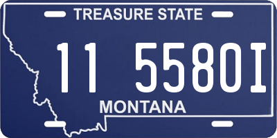 MT license plate 115580I