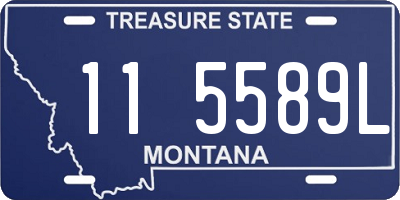 MT license plate 115589L