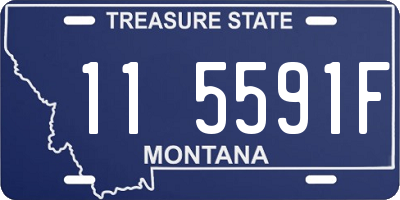 MT license plate 115591F