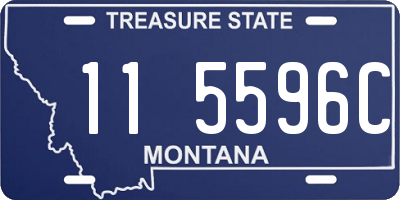 MT license plate 115596C