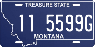 MT license plate 115599G