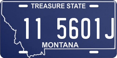 MT license plate 115601J