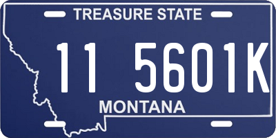 MT license plate 115601K