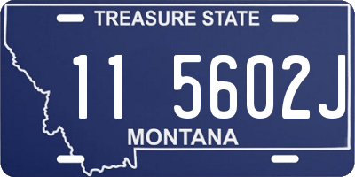MT license plate 115602J