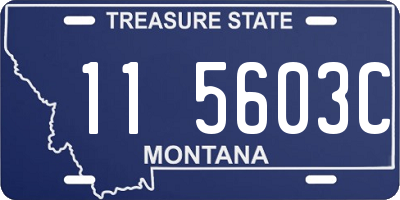 MT license plate 115603C