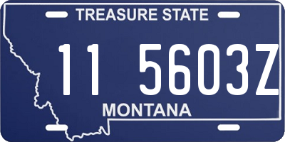 MT license plate 115603Z
