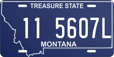 MT license plate 115607L