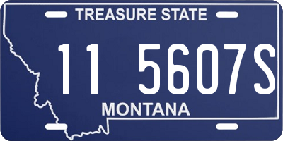 MT license plate 115607S
