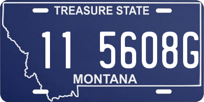 MT license plate 115608G