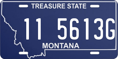 MT license plate 115613G