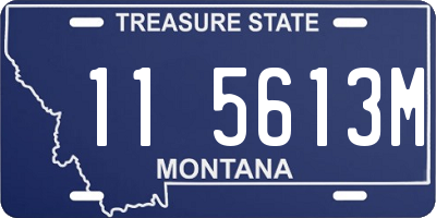 MT license plate 115613M