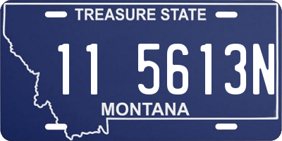 MT license plate 115613N