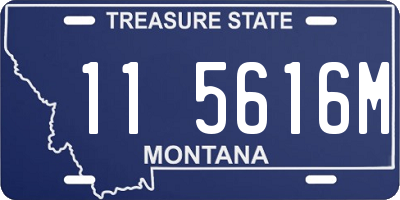 MT license plate 115616M