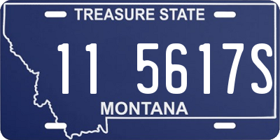 MT license plate 115617S