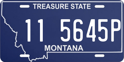 MT license plate 115645P