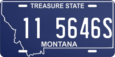 MT license plate 115646S