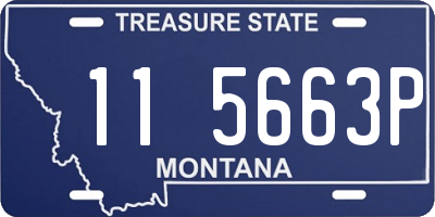 MT license plate 115663P