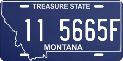 MT license plate 115665F