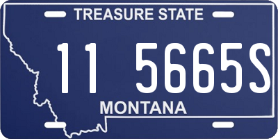 MT license plate 115665S