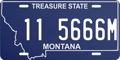 MT license plate 115666M