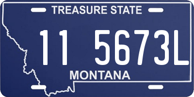 MT license plate 115673L