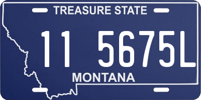 MT license plate 115675L