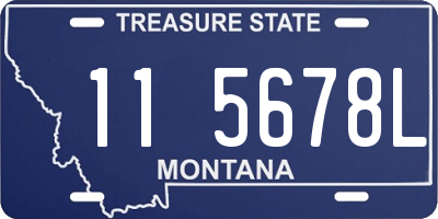 MT license plate 115678L