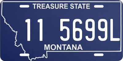 MT license plate 115699L