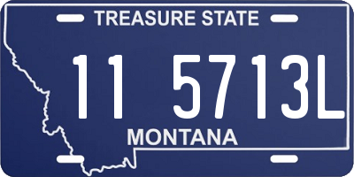 MT license plate 115713L