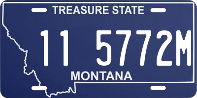 MT license plate 115772M
