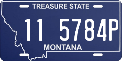 MT license plate 115784P