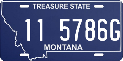 MT license plate 115786G