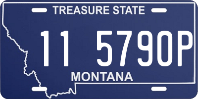 MT license plate 115790P