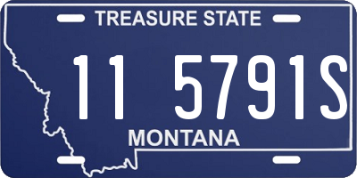 MT license plate 115791S