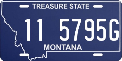 MT license plate 115795G