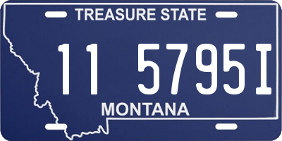 MT license plate 115795I