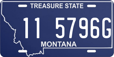 MT license plate 115796G