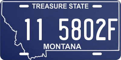 MT license plate 115802F