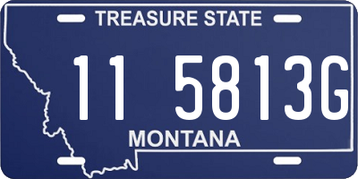 MT license plate 115813G