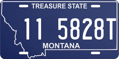 MT license plate 115828T