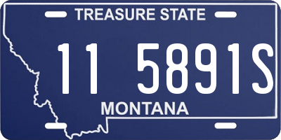 MT license plate 115891S