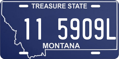MT license plate 115909L