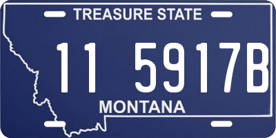 MT license plate 115917B