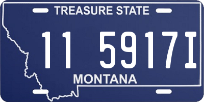 MT license plate 115917I