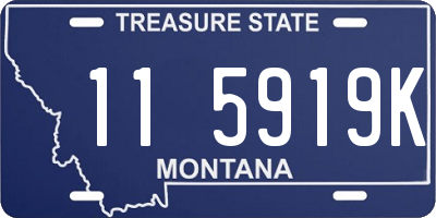 MT license plate 115919K